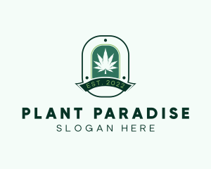 Marijuana Plant Herb Badge logo design