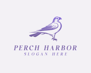 Raven Bird Aviary logo