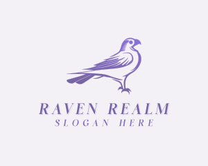 Raven Bird Aviary logo