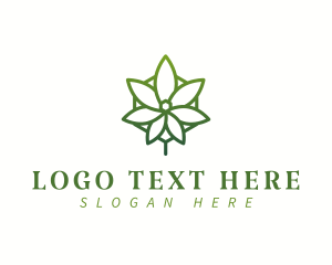 Organic Weed Leaf logo