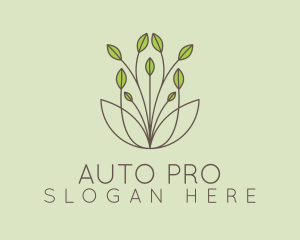 Aesthetic Leaves Plant  Logo