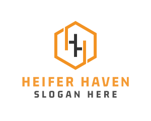 Hexagonal Letter HH logo design