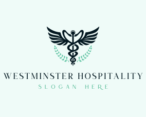 Hospital Medical Caduceus logo design