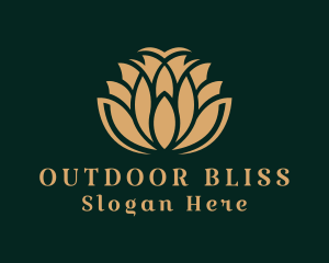 Deluxe Floral Spa  Logo