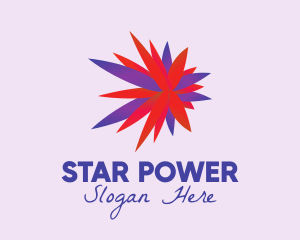 Star Flower Burst logo design