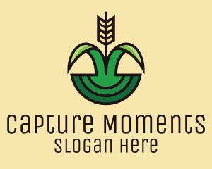 Organic Rice Field  logo