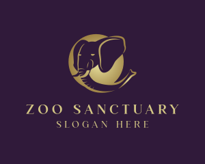 Safari Wild Elephant Head logo design