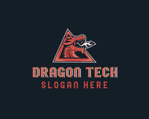 Fire Dragon Esports logo design