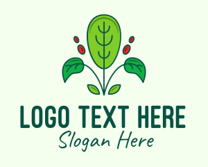 Eco Plant Gardening logo