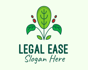 Eco Plant Gardening Logo