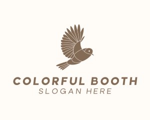 Colorful Bird Finch logo design