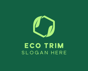 Green Eco Package logo design