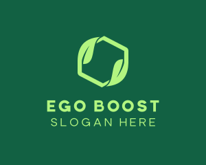 Green Eco Package logo design