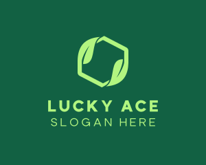 Green Eco Package logo design