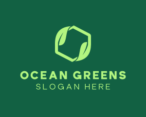 Green Eco Package logo design