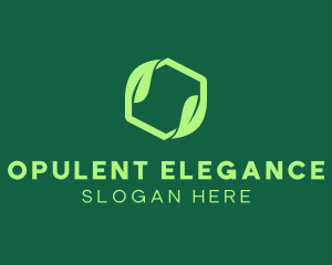 Green Eco Package logo design