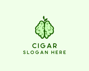 Natural Brain Health  logo design