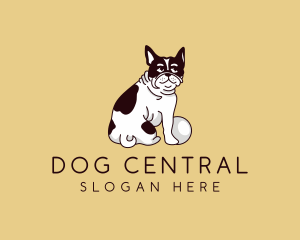 Boston Terrier Dog logo design