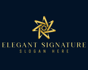 Elegant Star Boutique logo design