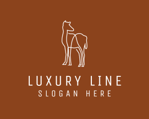 Modern Camel Line Art logo design