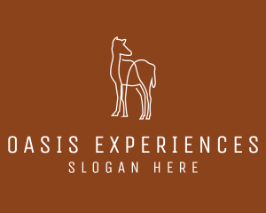 Modern Camel Line Art logo