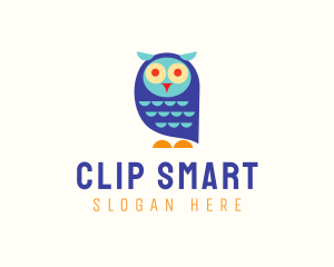 Cute Colorful Owl  logo design