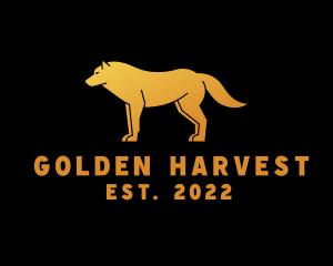 Golden Wild Wolf logo design