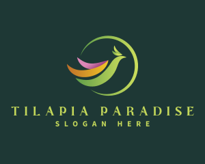 Bird Lifestyle Spa logo design