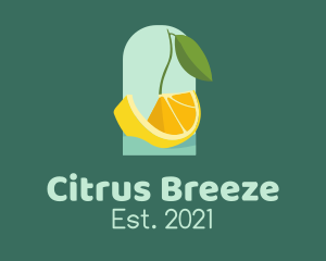 Orange Citrus Boat logo