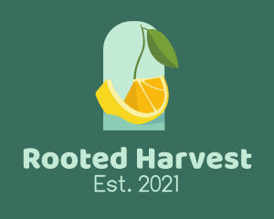 Orange Citrus Boat logo design