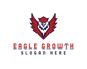 USA Eagle Shield Veteran logo design