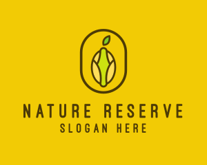 Nature Lemon Fruit logo design