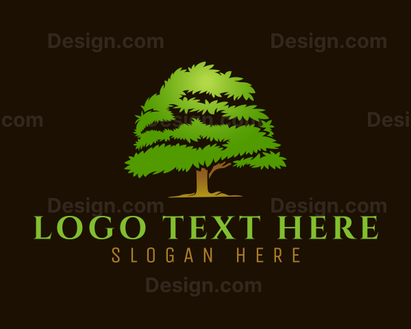 Organic Nature Tree Logo