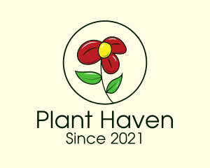 Daisy Flower Plant logo design