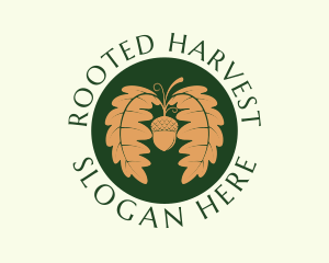 Acorn Nut Agriculture logo design