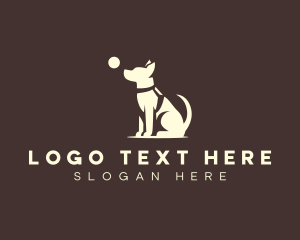 Dog Training Ball logo