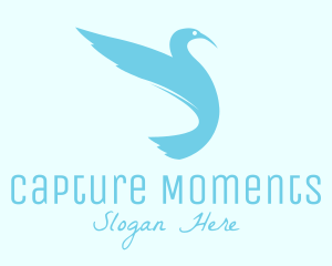 Modern Stylish Bird Logo