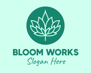 Lotus Bloom Spa  logo design