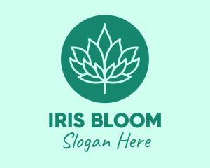 Lotus Bloom Spa  logo design