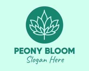 Lotus Bloom Spa  logo design