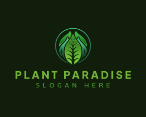 Leaf Organic Plant logo design