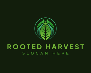 Leaf Organic Plant logo design