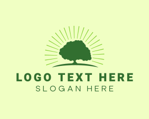 Green Bright Oak Tree Logo