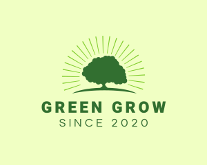 Green Bright Oak Tree logo design