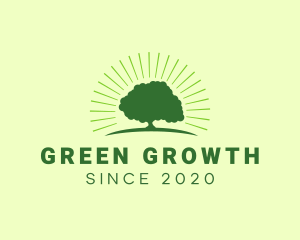 Green Bright Oak Tree logo design