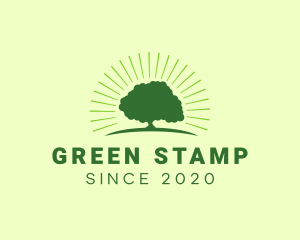 Green Bright Oak Tree logo design