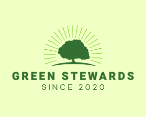 Green Bright Oak Tree logo design