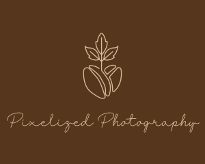 Organic Coffee Bean logo design