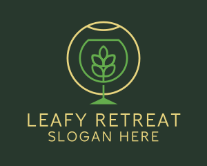 Herbal Fermented Drink logo design