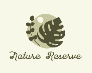 Natural Plants Monstera Decoration logo design